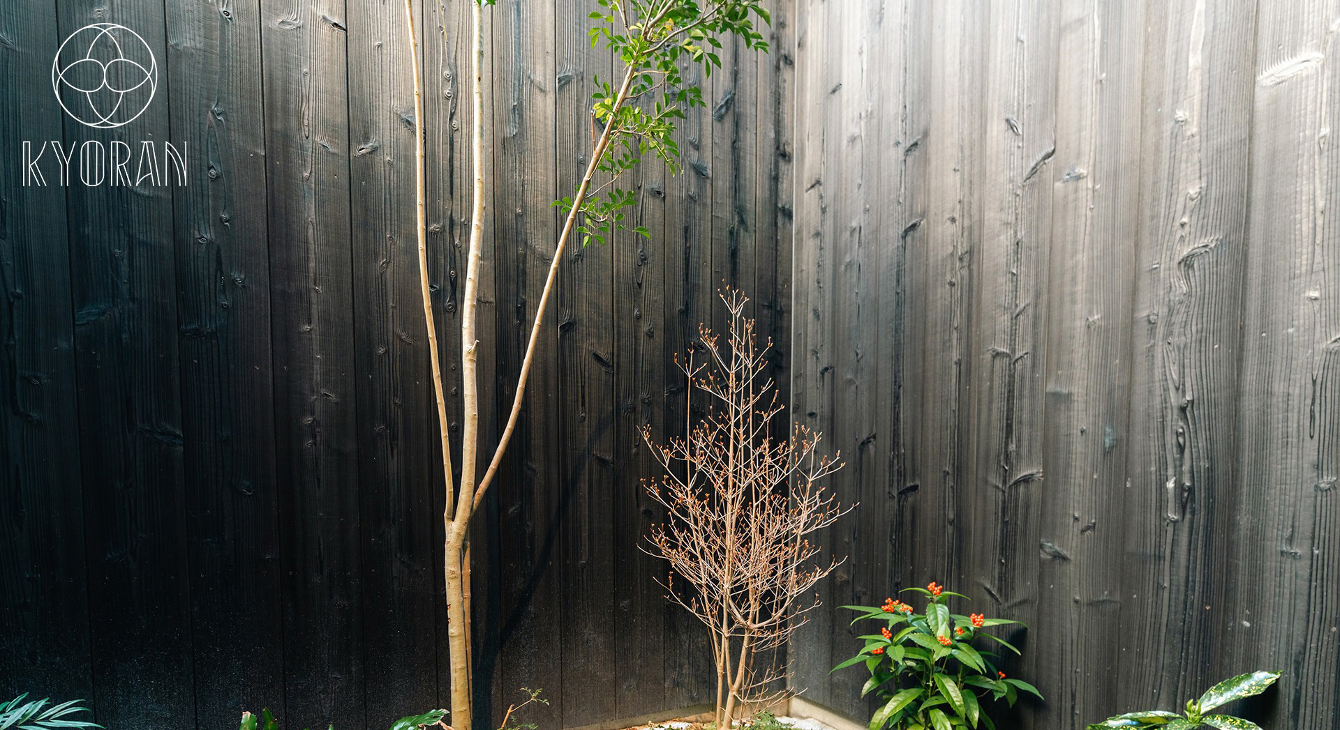 南区東九条南山王町　庭